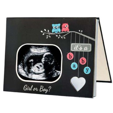 audible gender reveal frame